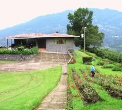 250g Café En Grain Bio La Esperanza - Cafés Lugat -Café Boissons Magasin cafe grains esperanza colombie 3