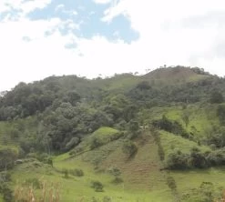 250g Café En Grain Bio La Esperanza - Cafés Lugat -Café Boissons Magasin cafe grains esperanza colombie 5