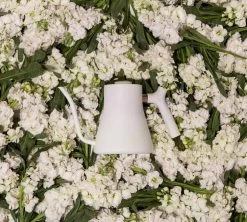 Café Boissons Magasin -Café Boissons Magasin stagblc fleur